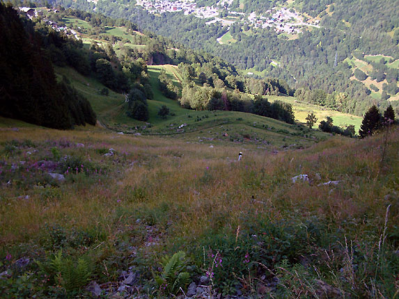 Prairie alpine et Sainte Foy Tarentaise