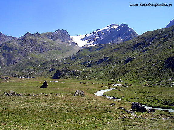 Ruisseau du Petit / Glacier de l'Invernet