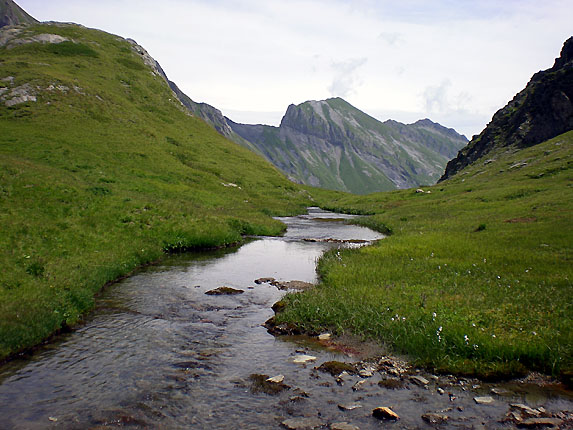 Ruisseau