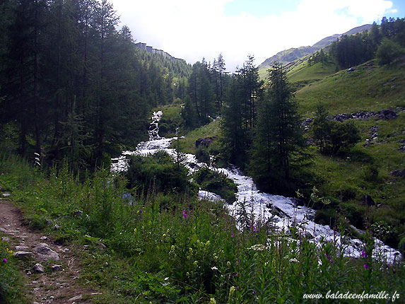 Le ruisseau du lac