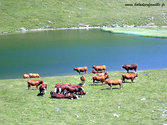 Le lac du clou