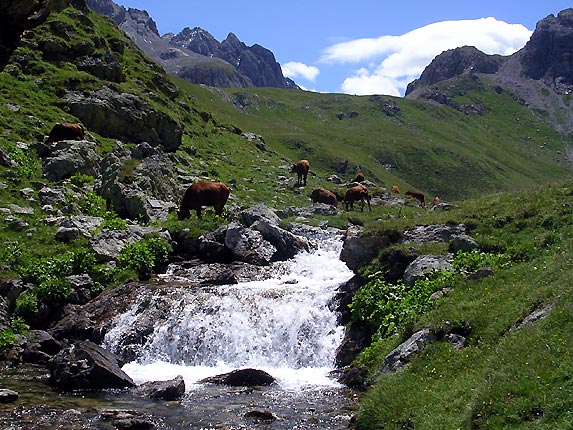 Torrent de la Plagne