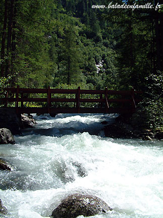 Torrent du Ruitor