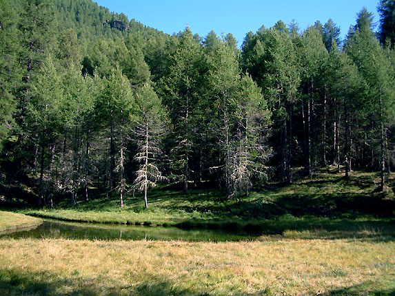 mare prs du Monal