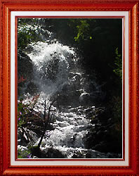 Le tumultueux ruisseau du Planay
