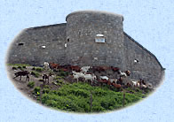 Les chvres sous les murs du fort de la Platte