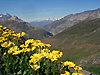 Valle du ruisseau des fours sur fond de massif du mont blanc