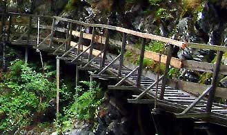 Passerelle en bois