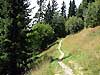 sentier de montagne