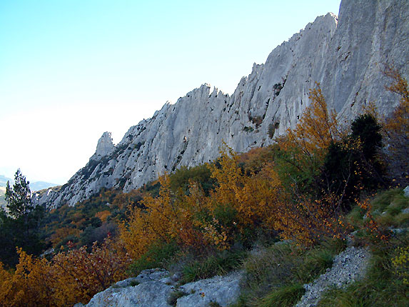 Le sommet des dentelles