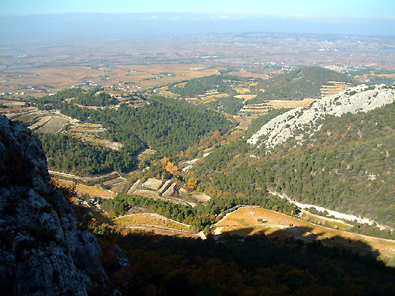 Gigondas et son vignoble