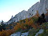 Les dentelles de Montmirail