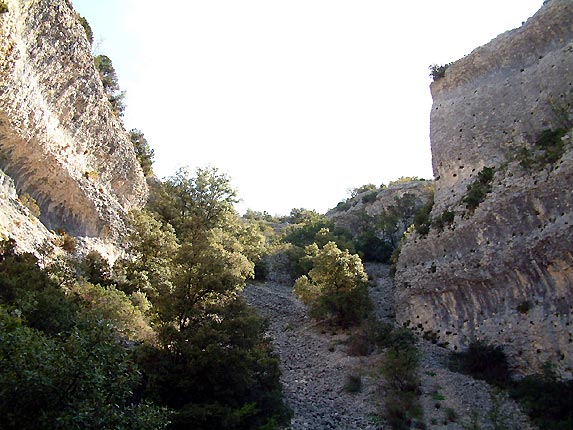 Les calcaires de la combe de Curnier