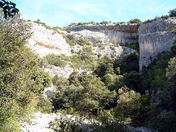 Les calcaires de la combe de Curnier