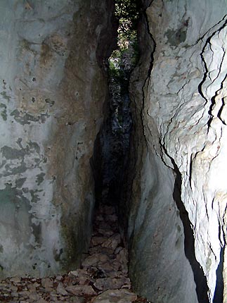 Les troitures de la combe
