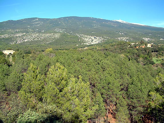 Le site des demoiselles coiffes et le Ventoux