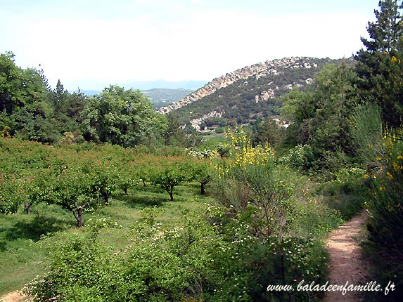 Le chemin de croix vers la chapelle Piaud