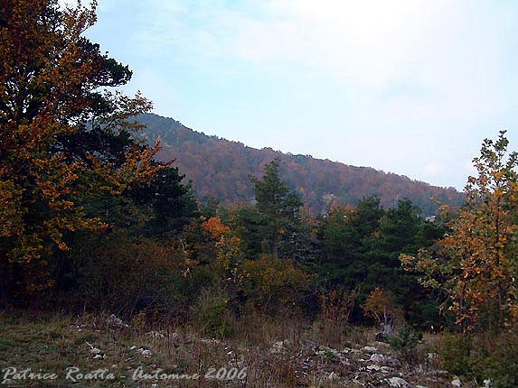 L'automne sur les flancs du Ventoux