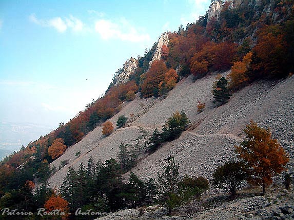 Le ravin du Grand Vallat