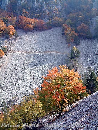 Le ravin du Grand Vallat