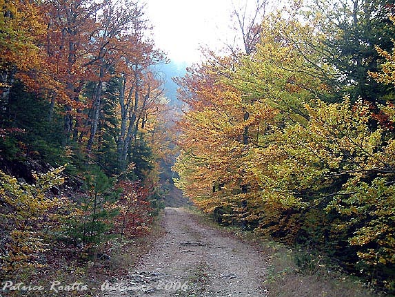 La combe de Pr Long