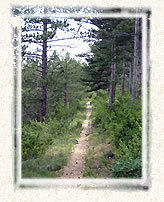 Sur le chemin de la chapelle Piaud