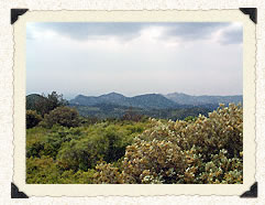 Vue sur les dentelles