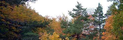 Les couleurs du Mont Ventoux