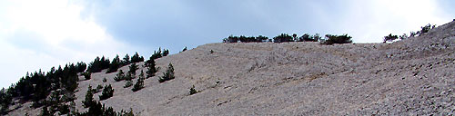 Crtes du ventoux