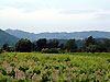 Abbaye et dentelles