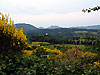 Abbaye et dentelles