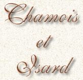 Titre chamois et isard