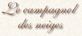 Titre Campagnol des neiges