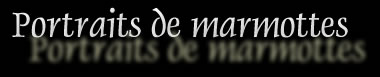 Titre du diaporama