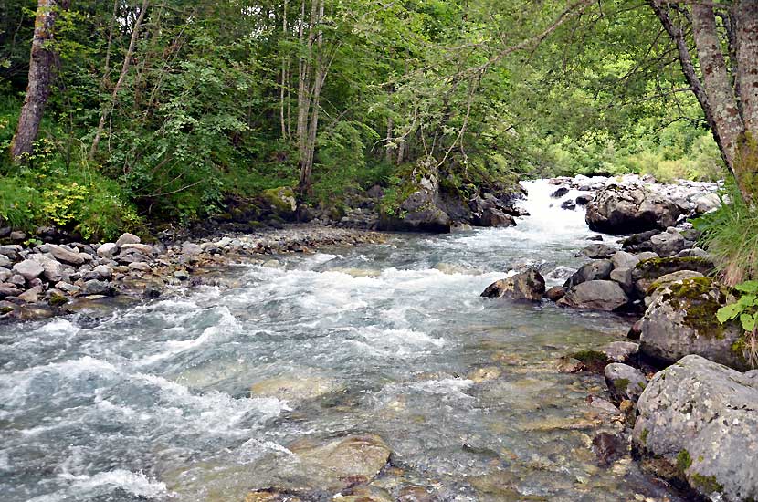 Torrent de Navette