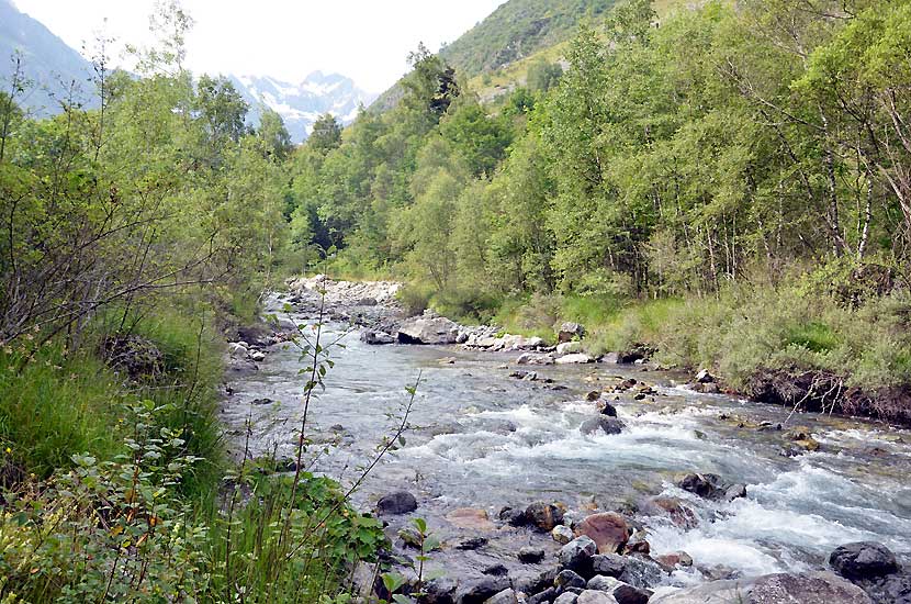 Torrent de Navette