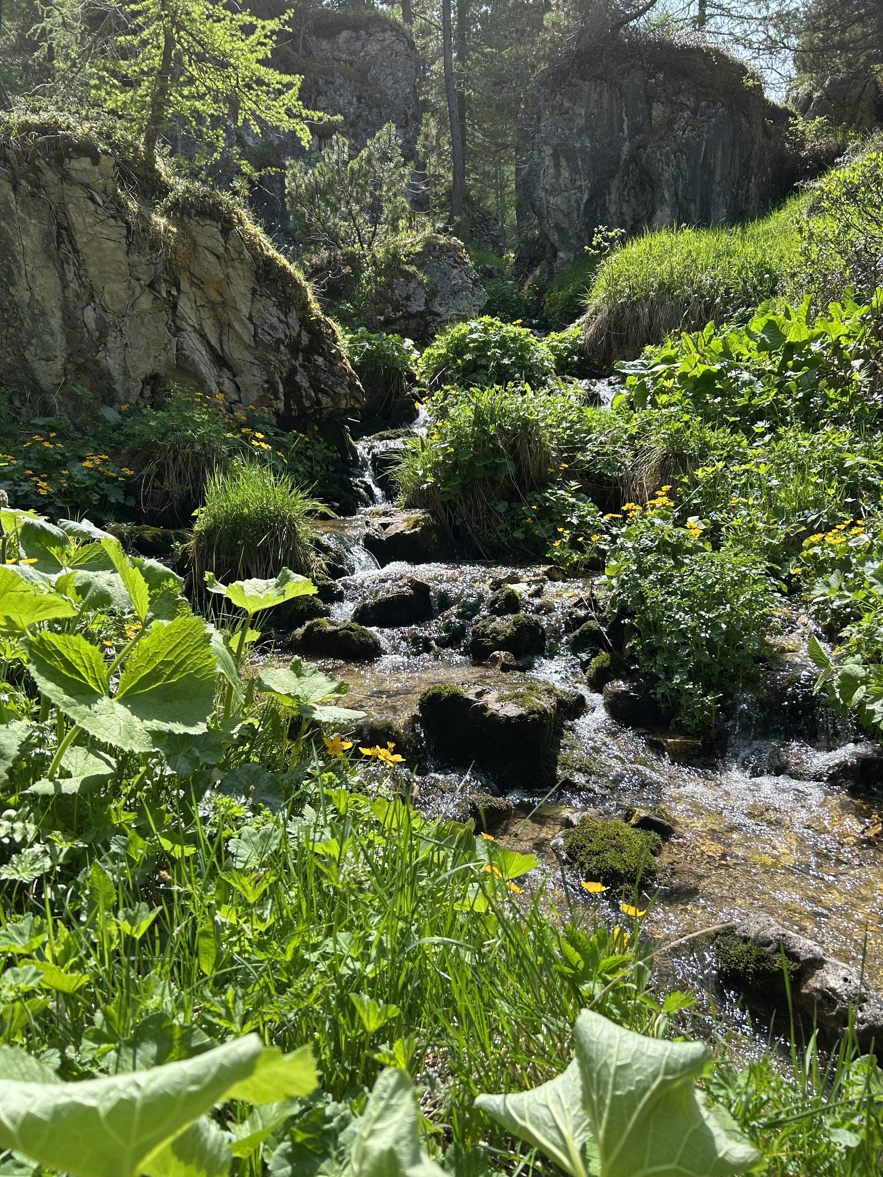 Ruisseau au col de Falzarego