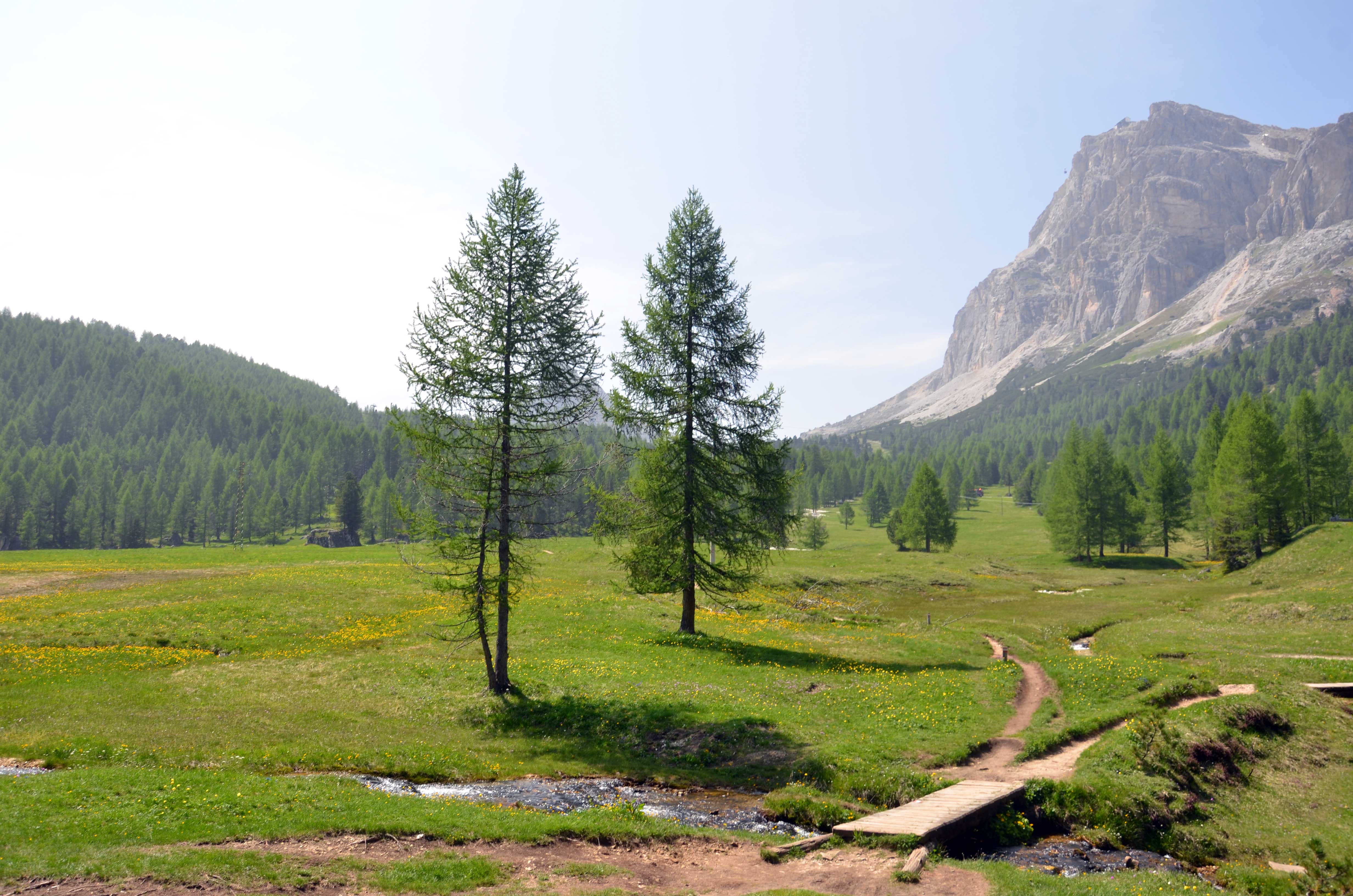 La Passo Falzarego