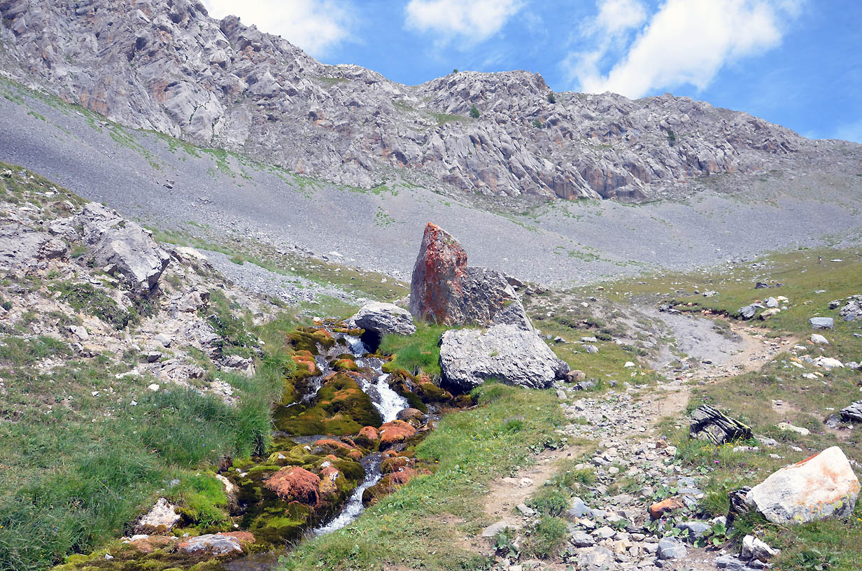Torrent | Jausiers 2017