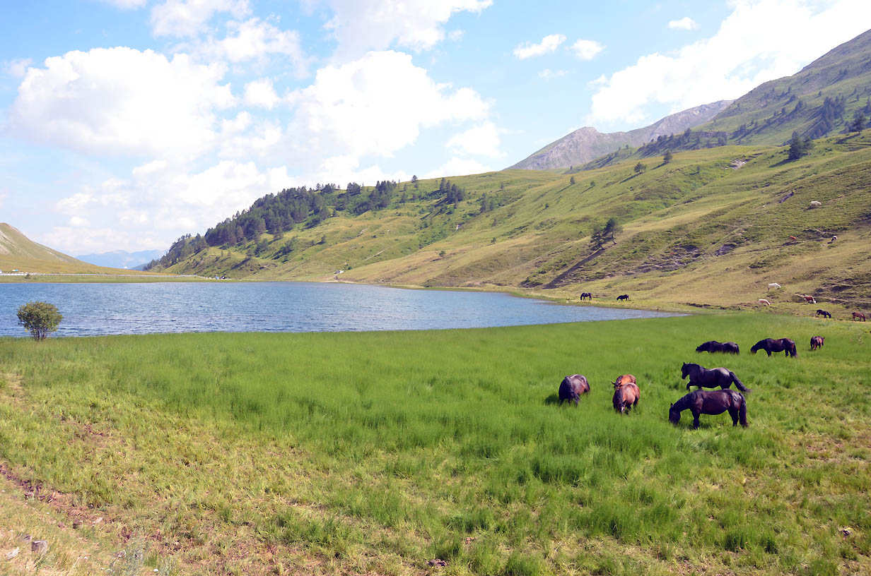 Lac de la madeleine au col de Larche - Jausier 2017 - Balades en famille
