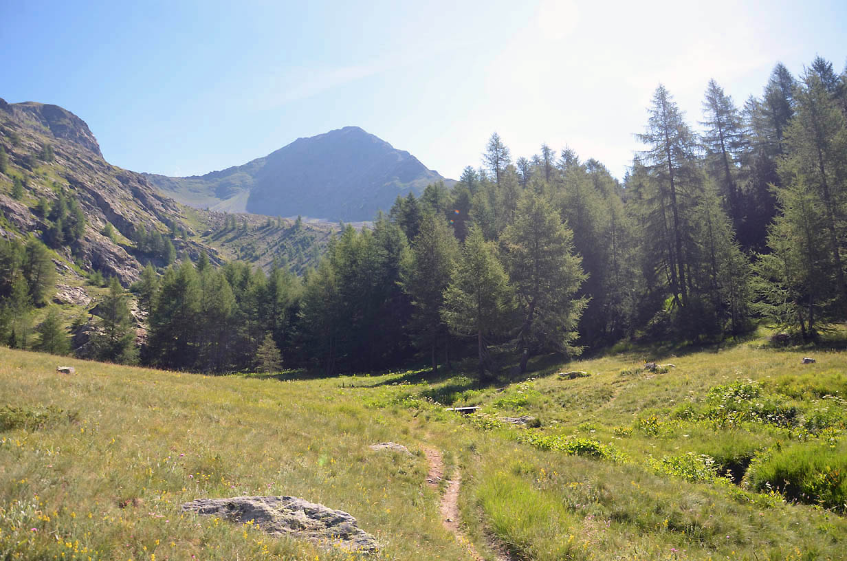 Montée dans la prairie | Jausiers 2017