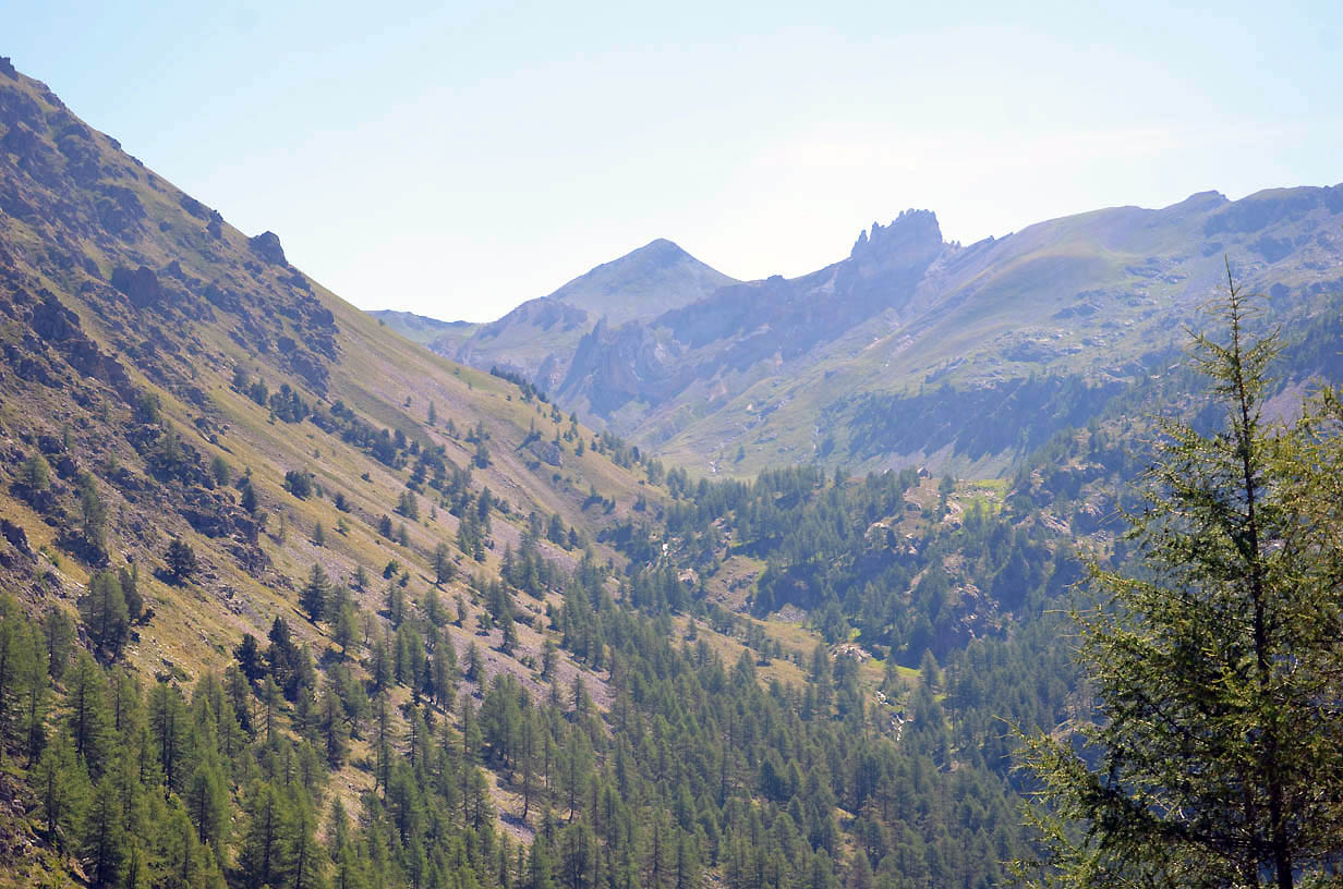 La maison forestière sur le plateau du Morgon | Jausiers 2017