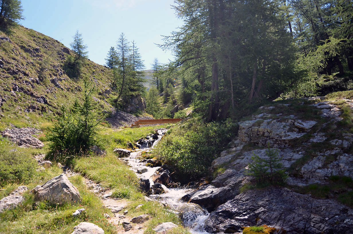 Pont en bois tout neuf sur petit torrent de montagne | Jausiers 2017