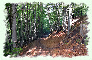 Le chemin du retour