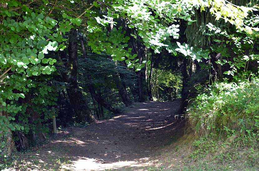 Le sentier dcouverte