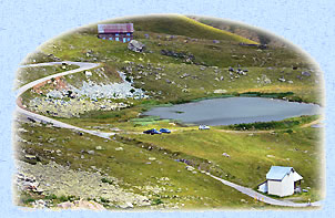 Le laitelet