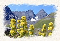 Les aiguilles d'Arves