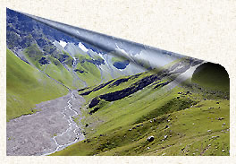 La combe des aiguilles