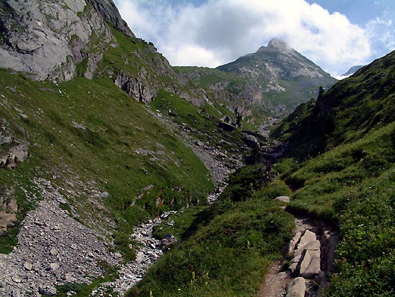 Le vallon de l'Arcelin