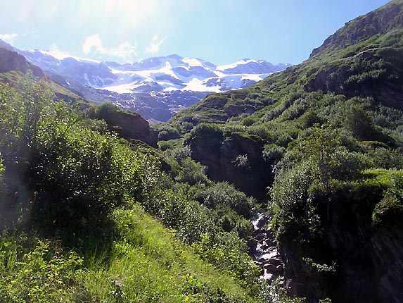 Le gnpy : le glacier,  le cirque et le torrent